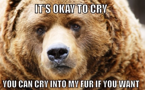 voiceactresskurutta:  asian-vanillaicecream:asian-vanillaicecream:  Some gentle understanding bears for everyone  Reblogging because someone might need it  artemispanthar