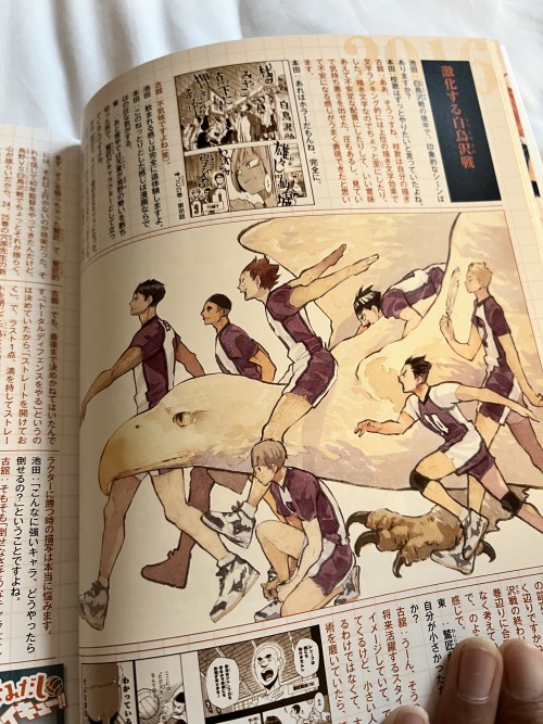 My Fav Pics From The Haikyuu Ten Year Anniversary Book!!! (i Had No Clue What Any Of It Said Since I’m