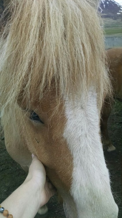 More new friends! :D
