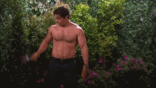 auscap:  Paul Telfer - Days Of Our Lives 