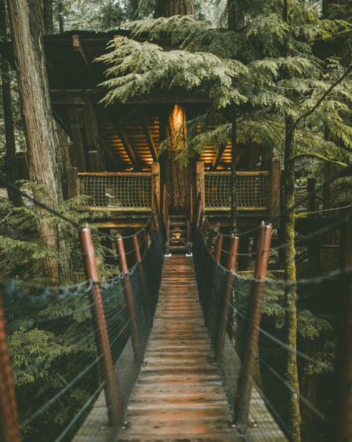 nosens:by rachelbarkman