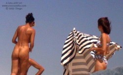 Teen-Beach-Voyeur:  More Nudism Pics