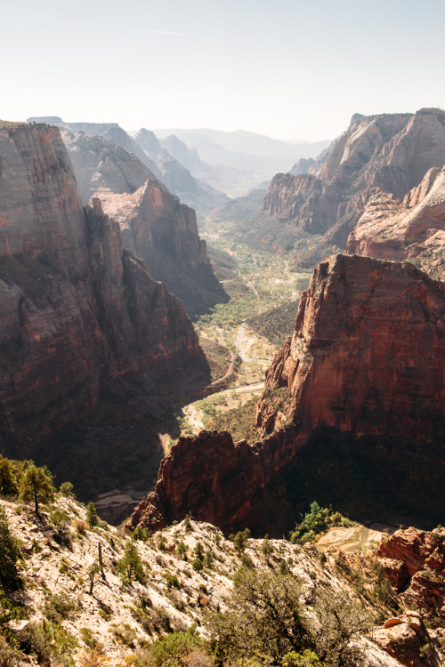 christophermfowler - Observation Point | Zion National Park |...