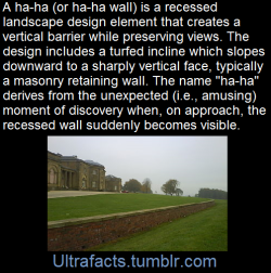 ultrafacts:    (Fact Source) for more facts, follow Ultrafacts   