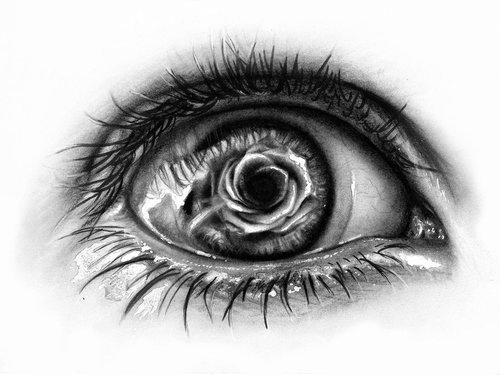 desires-andso-much-more:  Tears of a Rose by BabyDollB on deviantART