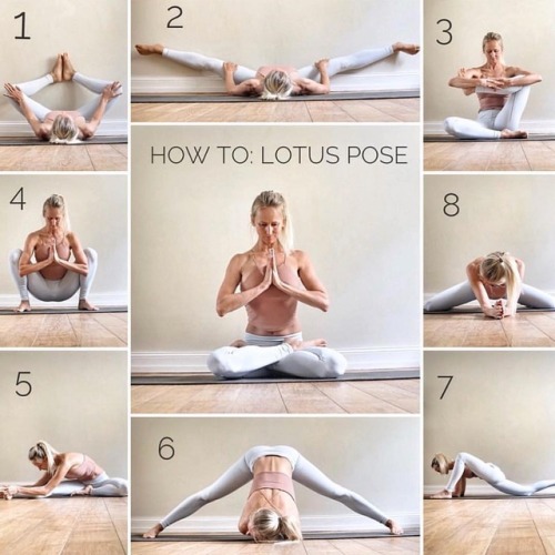 yogamazing - How to - Lotus Pose“The lotus pose requires a lot of...