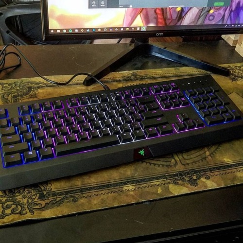 renniequeer: I have acquired a fancy keyboard, which I promptly set up into a trans pride flag.https