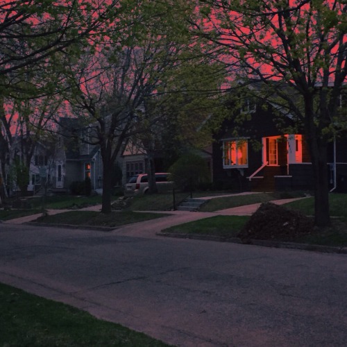 shoegaze-babe:  Home