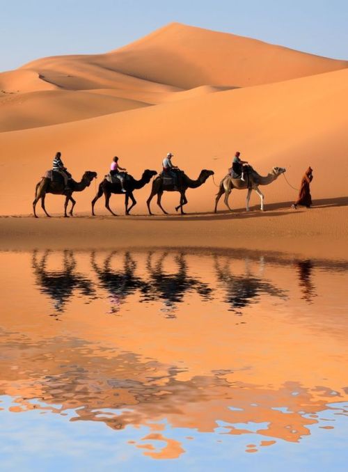 Don&rsquo;t miss an escorted guided tour around Morocco with Www.tripsformorocco.com