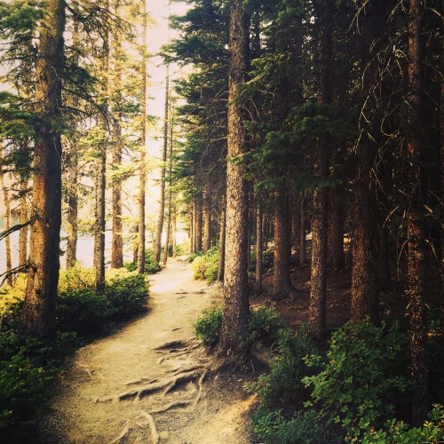 banjosandbogs:  Summer Trails from the West. 