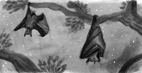 A couple of pages from my first children’s book assignment. A wordless book about the animals 