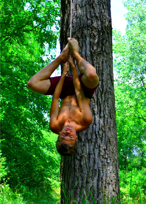 strictboycoach: Ripe fruit to pick and use!