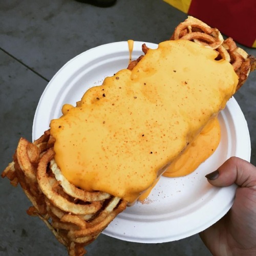 Curly fry brick from the fair #food #fries #curlyfries #cheese #fair #fairfood #foodporn #tasty #ala