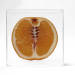 00-sblog:_Monica Piloni (1978), Brazilian Contemporary artist.Série Hybris (Hybris series), 2013
