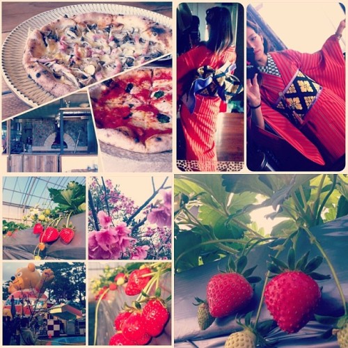 Here comes the spring to Oki :) #strawberry #cherryblossom #okinawa #spring #kimono #pizza #イチゴ狩り #桜