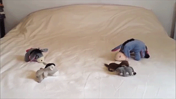 sizvideos: Ozzy the Weasel chooses wisely his new best friend Video 