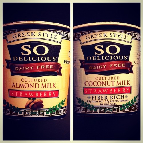 Mmmm!! Two new treats to try! So Delicious Vegan Strawberry Yogurt, one with almond milk, the other 