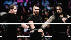 wweslays:  Believe in the Shield