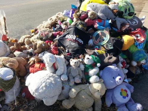 justice4mikebrown:February 9Mike Brown memorials