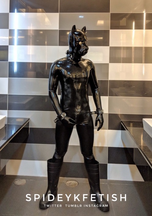 spideykfetish: When i was a dog rubber suit from @rubberforfun