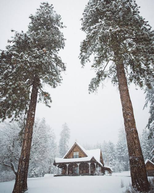 ipromisetostaywild: @cabin-built-in-the-woods   @forest-cabin    