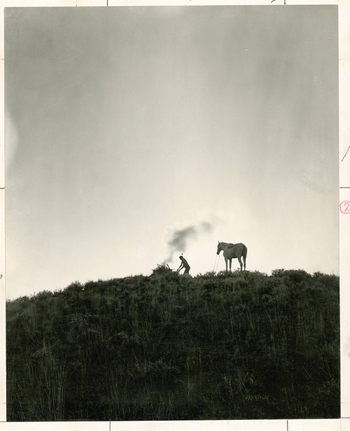 A Native American sends smoke signals in Montana, June 1909.Photograph by Dr. Joseph K. Dixon, Natio