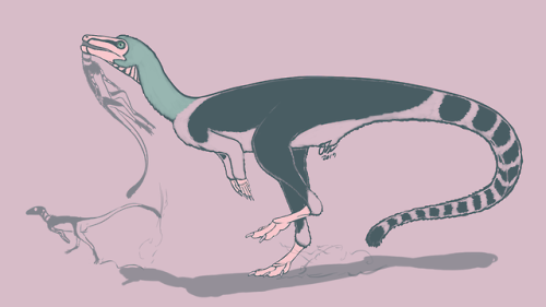  Day 9 of my palette challenge (palettes found here) has the carnivorous sauropodomorph Buriolestes 