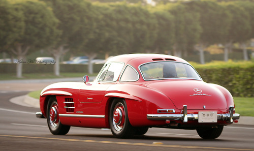 carpr0n: Men do love curves Starring: Mercedes-Benz 300SL (by Kevin Ho 車 Photography)