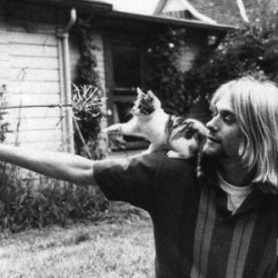 tictacefimero:  Kurt Cobain NIRVANA 