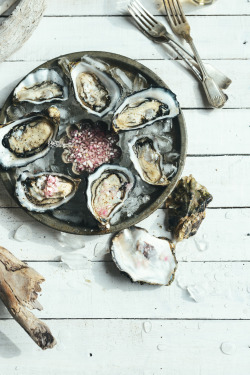 fromthe-kitchen:  Te Matuku Bay Oysters with