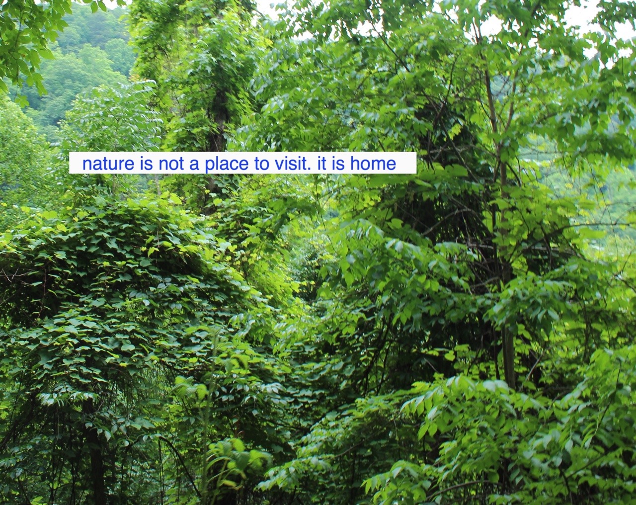 neoeuphoria:
