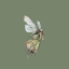 theflowerswhisper