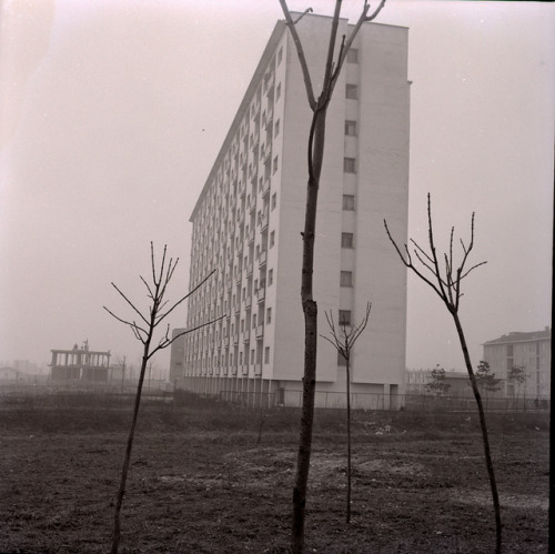 rosswolfe:Edificio residenziale INA-Casa nel quartiere QT8 di Milano, progettato da Pietro Lingeri (