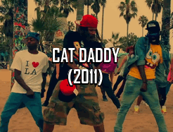 eastafriqueen:shuttersmiley:jazzzasaruss:zooviette: hip-hop dance crazes (2004-2013)Chicken noodle s