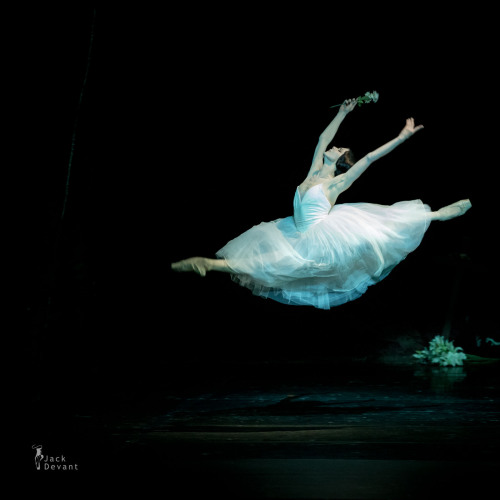 loverussianballet:  Natalia Osipova as Giselle