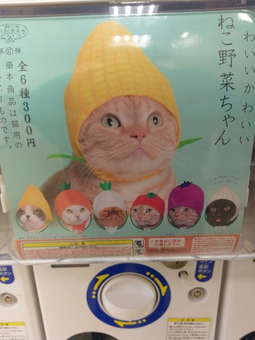 Weird Gacha/UFO - Cats! God there’s been a lot of cat gacha/UFO recently.Today we have: Easter theme