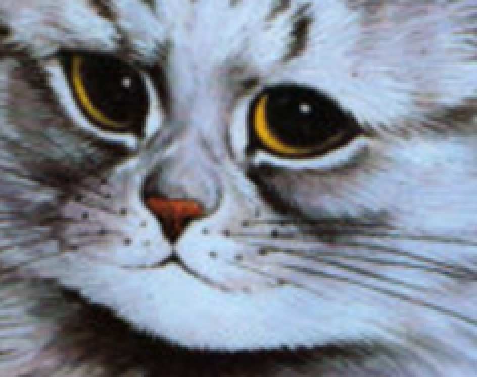 fruitsgood:  gwynndolin:  fruitsgood:   gwynndolin:  fruitsgood:   gwynndolin:  fruitsgood: