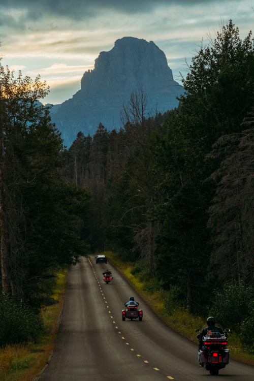 GNP, Montana 