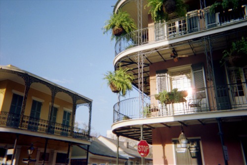 New Orleans, 2015 Onesaralorraine