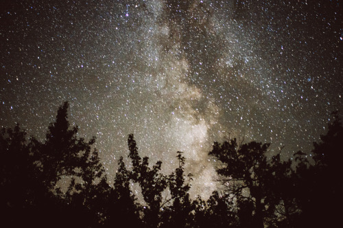 XXX foxmouth:  Nightscapes, 2015 | by Matt Lief photo