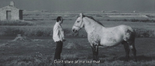 ozu-teapot: Les créatures | Agnes Varda | 1966 Michel Piccoli and friend  “But why the long fa