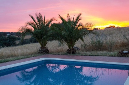 Idle days. . . . . . #sunset #palmtrees #portugal #alentejo #alentejolovers #travel #pool #piscina #