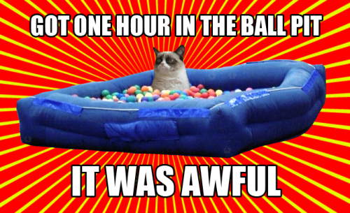 I had to make a Dashcon meme featuring that infamous ball pit and our favorite internet cat. 