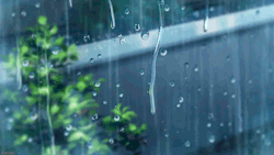 dalnim96:rain brings down the memories. 