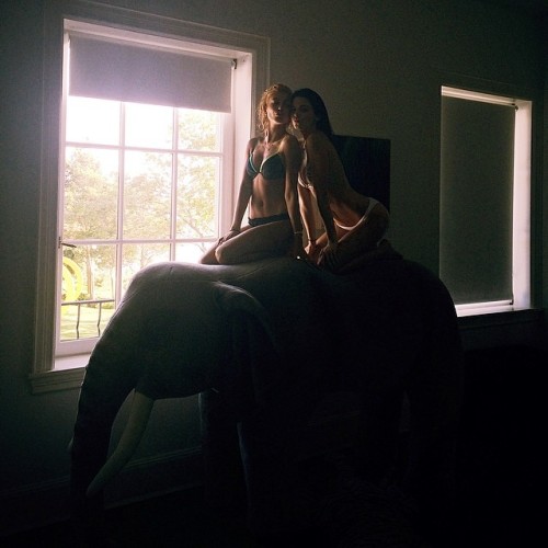jenner-news:  Kendall: “this is our elephant friend, Billard.”