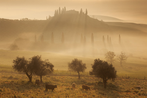 Porn landscapelifescape:  Val d’Orcia, Tuscany, photos