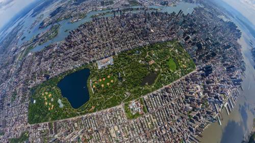 new-yorkcity:Central Park