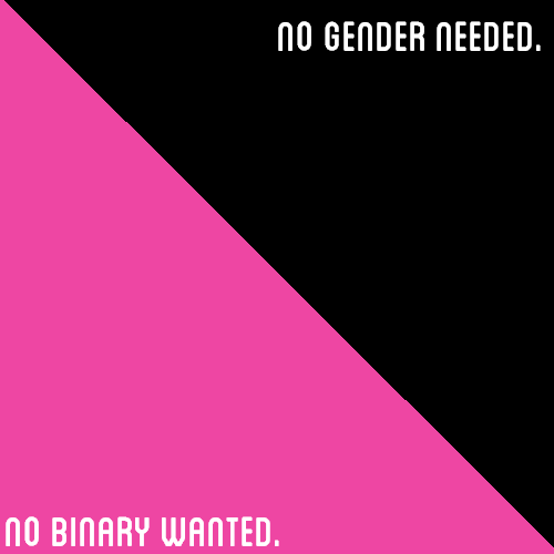 [Image Description: A half-black/half-pink color block with text that reads &ldquo;no gender nee
