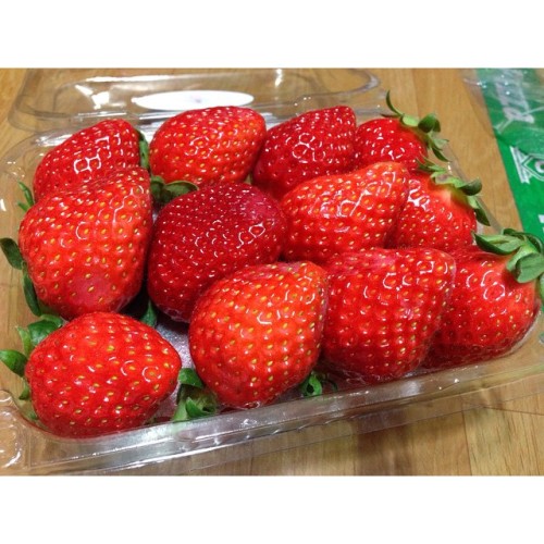 หอม หวาน อร่อย ลูกใหญ่ เต็มปากเต็มคำ 🍓 #strawberry #딸기 (ที่ Hwasong Namyang) #strawberry#딸기