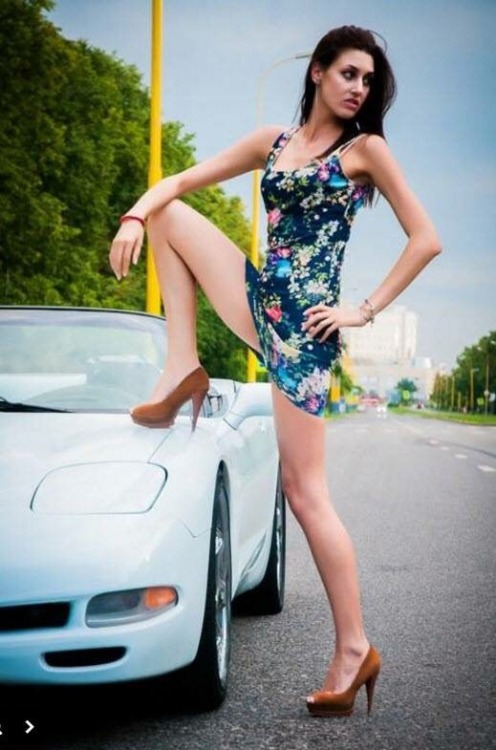 Corvettes - Tits & Tires